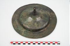 Foto von Bronzephalere (NHMW-PRAE-025824)